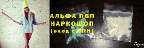 эйфоретик Белокуриха