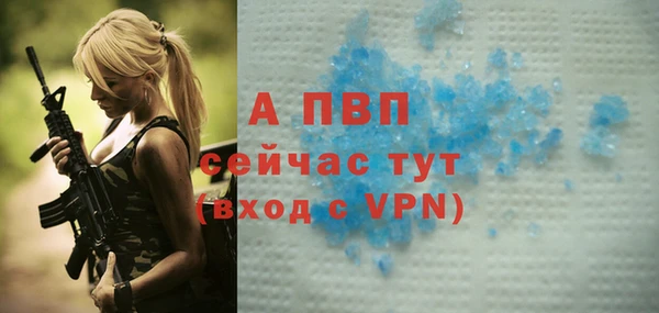 молекула духа Белоозёрский