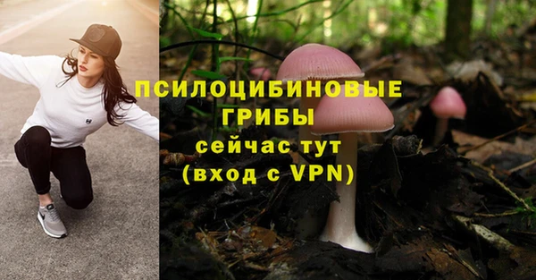 apvp Беломорск
