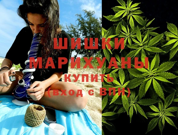 молекула духа Белоозёрский