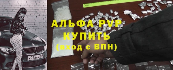 молекула духа Белоозёрский
