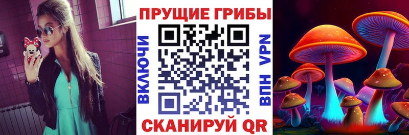 МЕГА зеркало  Ефремов  Галлюциногенные грибы мицелий 